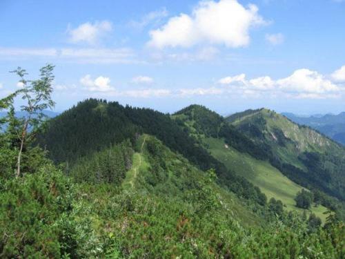 Landgasthof Kirchenwirt Grossraming Buitenkant foto