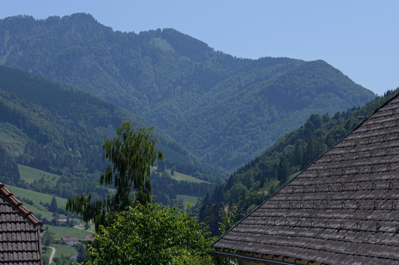 Landgasthof Kirchenwirt Grossraming Buitenkant foto